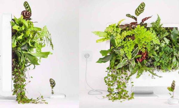 Monsieur Plant transforme les vieux ordinateurs en jardins luxuriants