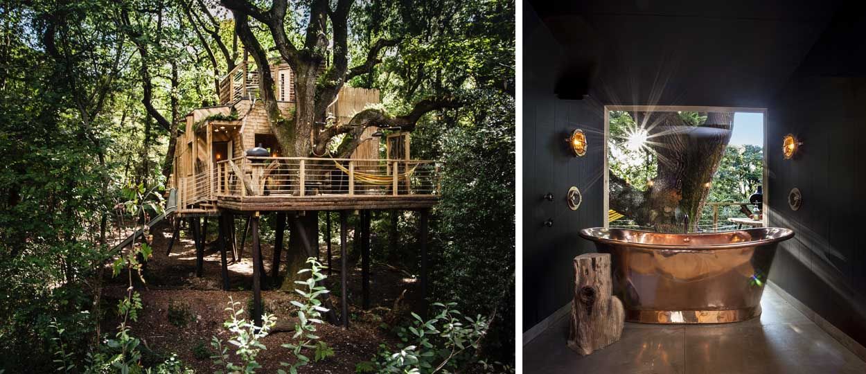 Une maison de rêve perchée dans les arbres