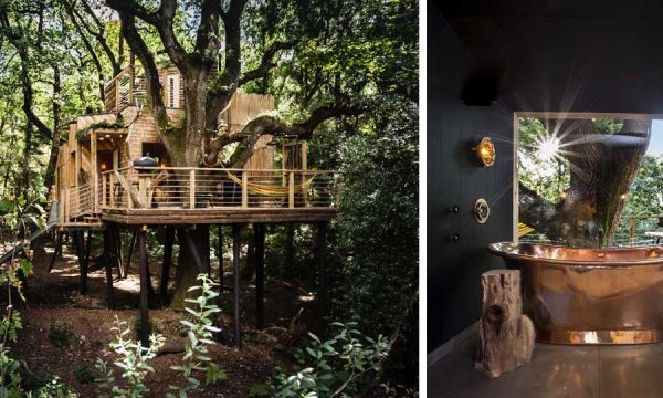 Une maison de rêve perchée dans les arbres