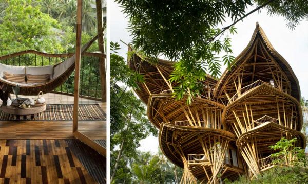 Admirez ces incroyables maisons en bambou, majestueuses et durables