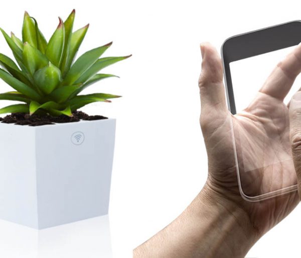 Ces plantes produisent de l'électricité et vous permettent de capter le wifi