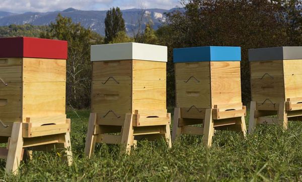 Des ruches de jardin 100 % made in France