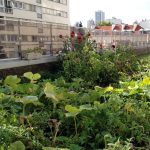 La terrasse sur le toit de l'immeuble K'Hutte à Strasbourg (à gauche) et une terrasse partagée à Paris (à droite).