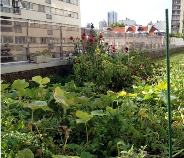 Bientôt des terrasses partagées sur tous les toits des immeubles ?