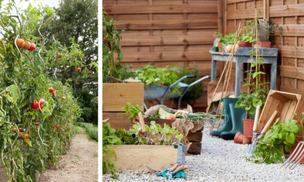 Les 7 outils indispensables pour démarrer son potager