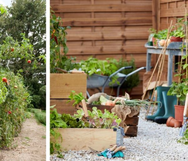 Les 7 outils indispensables pour démarrer son potager