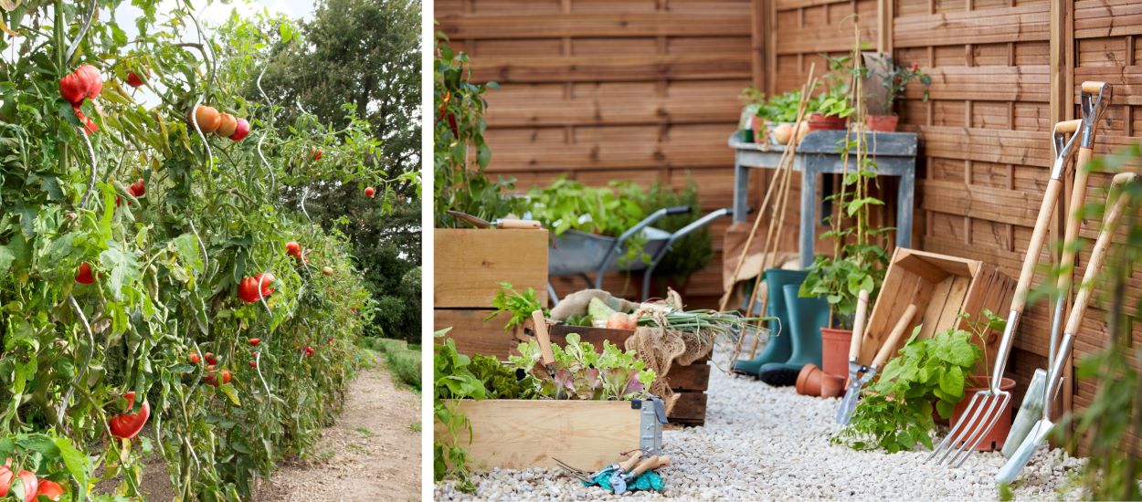Les 7 outils indispensables pour démarrer son potager