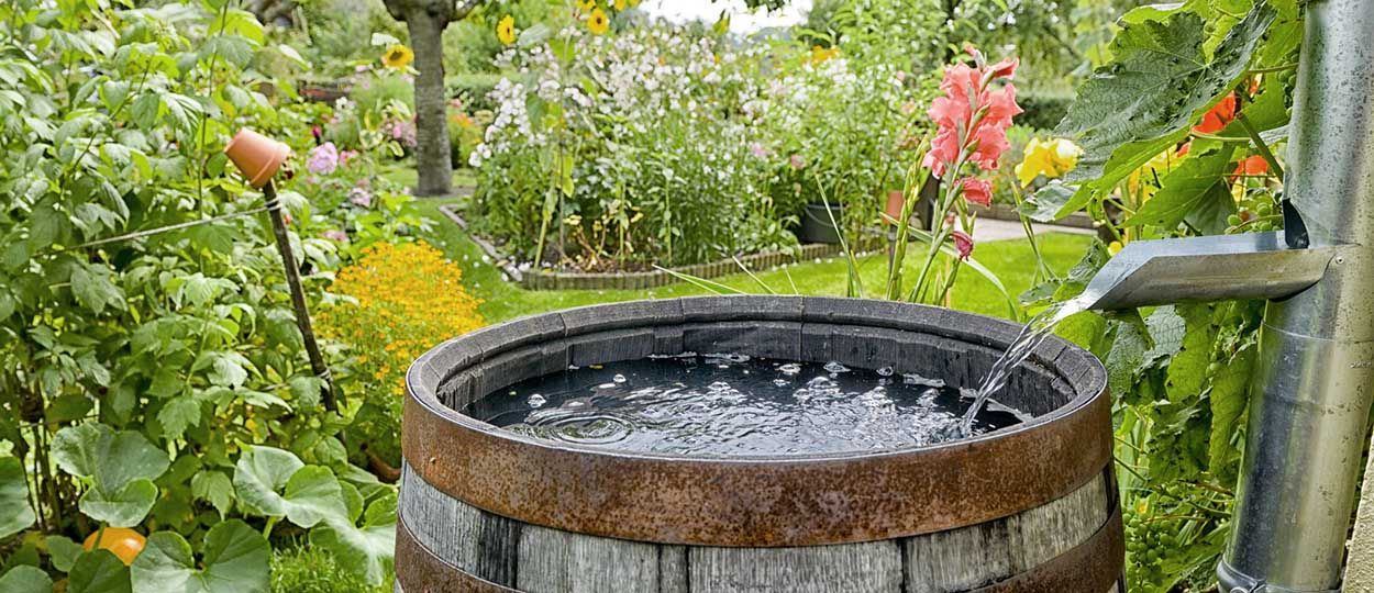 Tout ce que vous pouvez faire (ou pas) avec l'eau de pluie