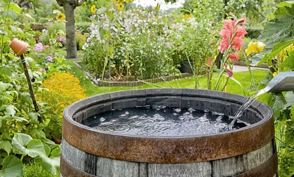 Tout ce que vous pouvez faire (ou pas) avec l'eau de pluie