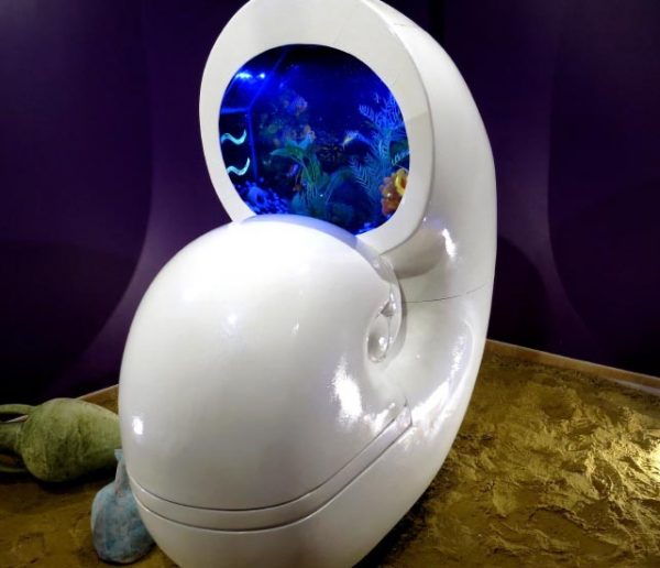 Ce bricoleur de génie a inventé les toilettes-aquarium