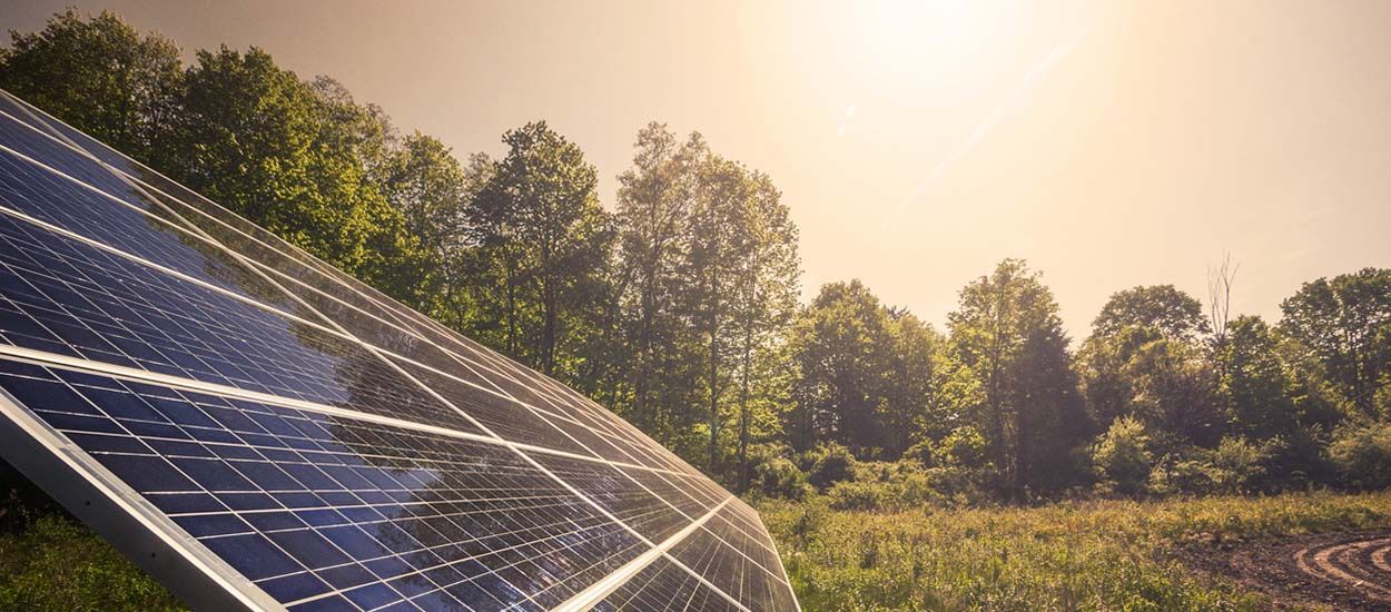 Modèle à suivre : le 1er parc solaire citoyen va voir le jour dans l'Aude