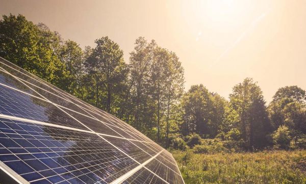 Modèle à suivre : le 1er parc solaire citoyen va voir le jour dans l'Aude