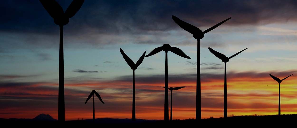 Une start-up s'inspire des ailes du colibri pour créer une éolienne