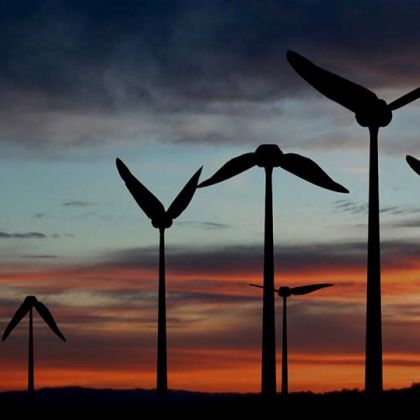 Une start-up s'inspire des ailes du colibri pour créer une éolienne
