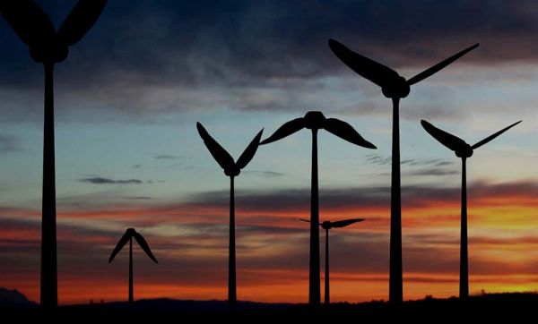 Une start-up s'inspire des ailes du colibri pour créer une éolienne