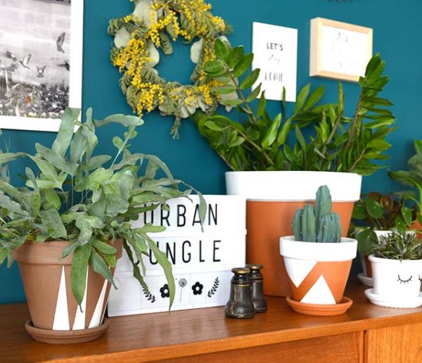 Tuto : Relookez de vieux pots de fleurs pour une déco tendance Urban Jungle