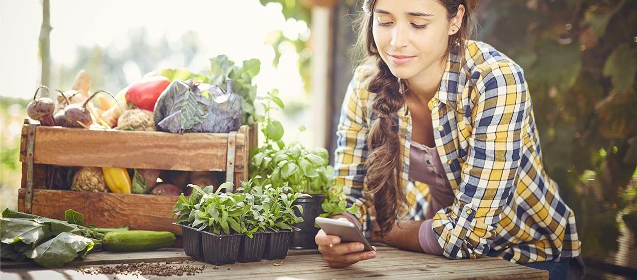 Carottes, tomates, oignons... Quels légumes font bon voisinage au potager ?