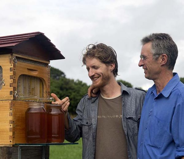 La ruche à robinet, pour récolter le miel sans déranger les abeilles