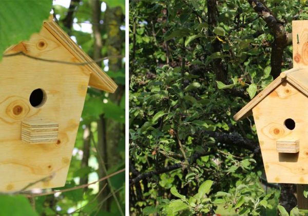 Comment Construire Sa Cabane De Jardin