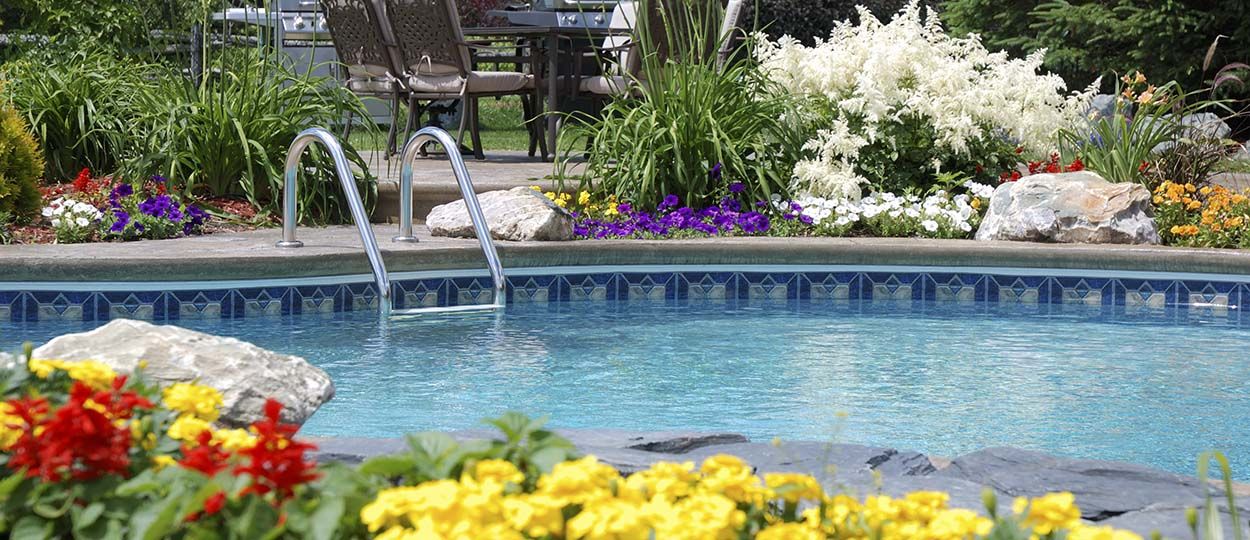 Fleurs, arbustes et succulentes : nos conseils pour une piscine aux abords verdoyants et propres