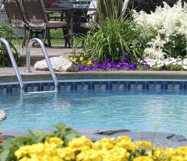 Comment fleurir sa piscine sans avoir de saletés ?
