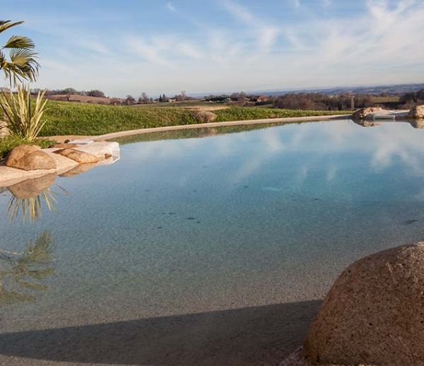 Pour une piscine plus écolo : installez un lagon dans votre jardin !