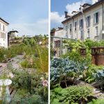 Le toit terrasse du studio d'architecture Piuarch, à Milan, en Italie.