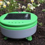 Tertill coupe les mauvaises herbes tout seul.