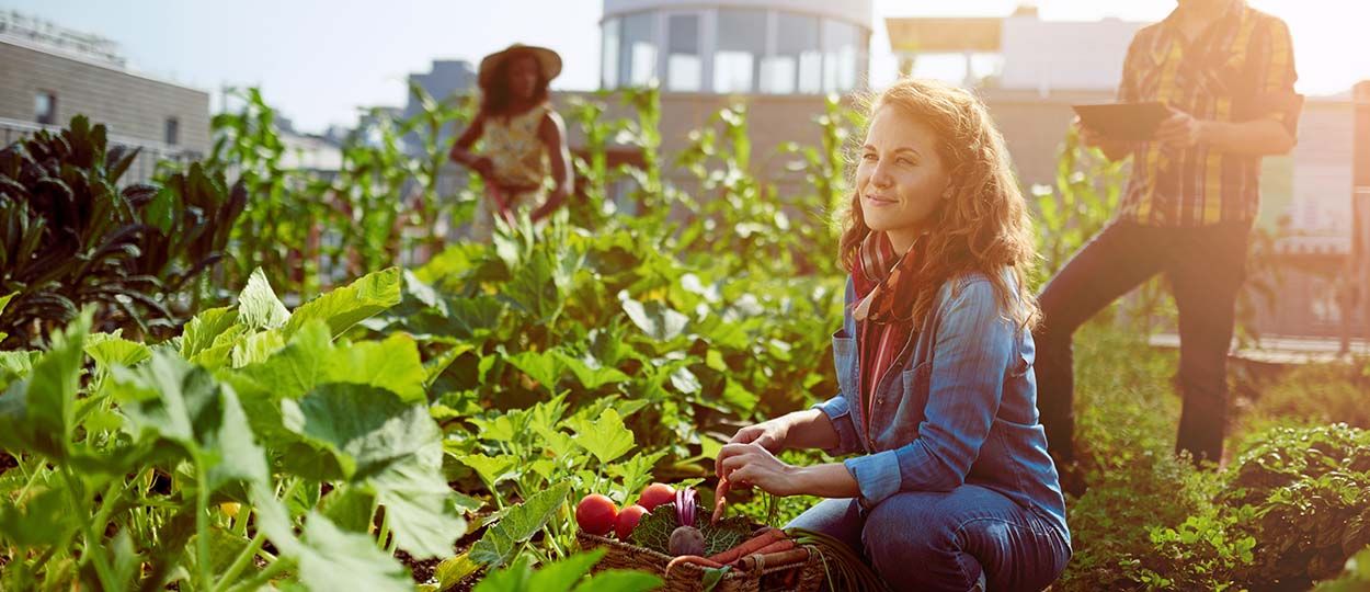 Le Tour de France de la permaculture débute aujourd'hui