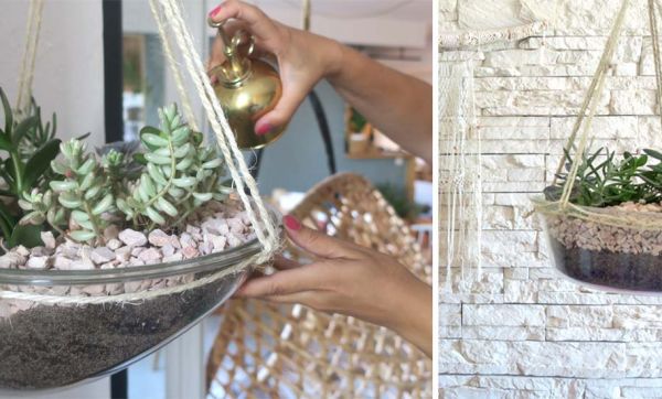 Tuto déco et récup' : Transformez un hublot de lave-linge en terrarium suspendu