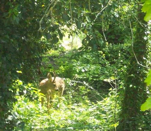 Bain de soleil et de nature : vos plus belles photos de juin !