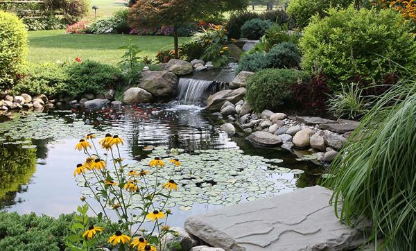 Fraîcheur au jardin : 8 bassins qui vont vous inspirer