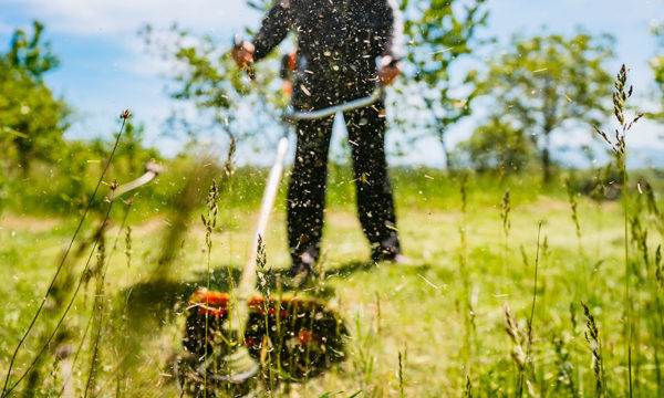 Voici comment entretenir votre jardin pour prévenir les incendies