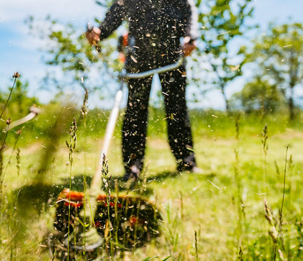 Voici comment entretenir votre jardin pour prévenir les incendies