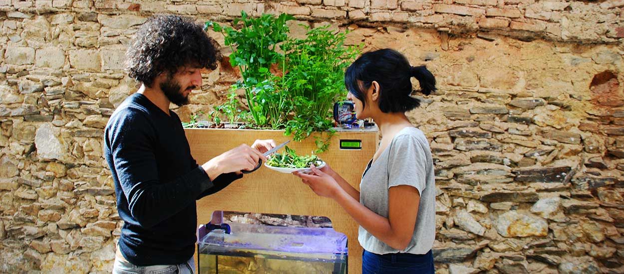 Aquapioneers : un potager aquaponique en open source pour tout faire pousser à la maison