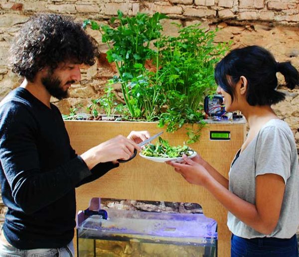 Aquapioneers : un potager aquaponique en open source pour tout faire pousser à la maison