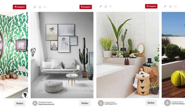 Tendance de l'été # 3 : ô mon cactus adoré