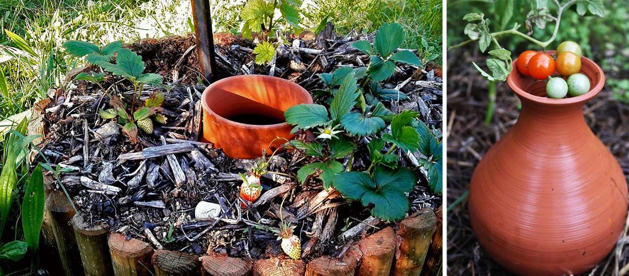 Oyas : Comment économiser l'eau au jardin pour pas cher