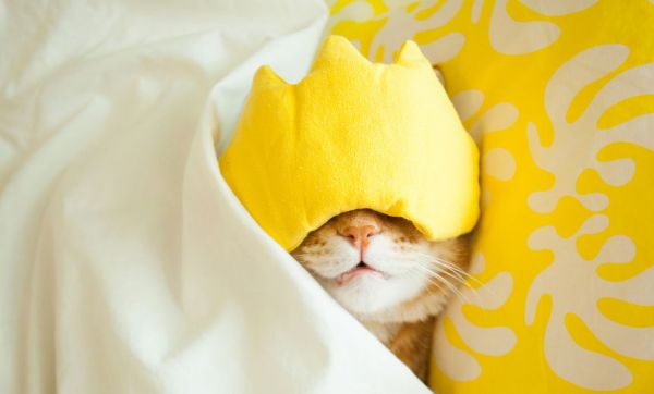 5 méthodes surprenantes et imparables pour trouver le sommeil rapidement