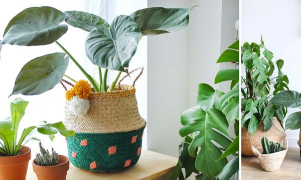 Tuto : customisez votre panier en osier pour lui donner des couleurs