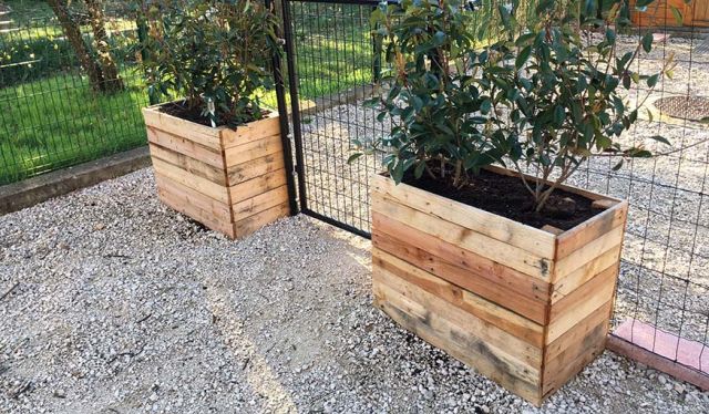 qu-est-ce-qu-on-peut-faire-avec-une-seule-palette-8-id-es-et-tutoriels