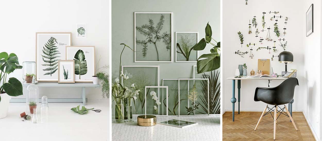 Tendance déco : l'herbier fait son grand retour, mais cette fois-ci sur les murs !