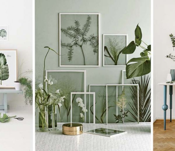 Tendance déco : l'herbier fait son grand retour, mais cette fois-ci sur les murs !