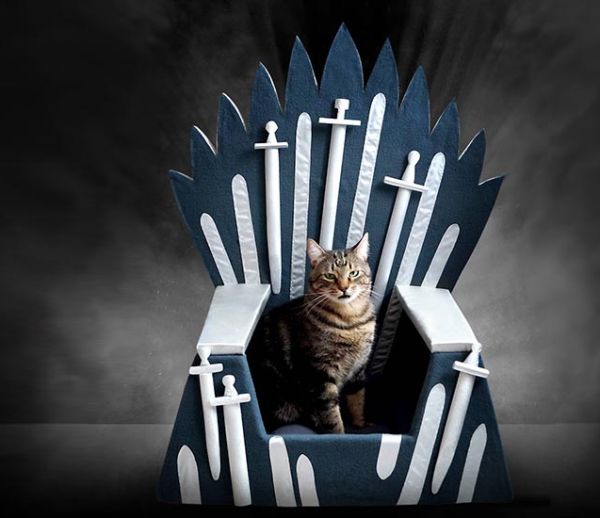 Votre chat aussi a le droit d'être fan de Game of Thrones !