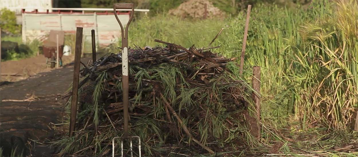 Conseils de pro pour fabriquer facilement une pile de compost