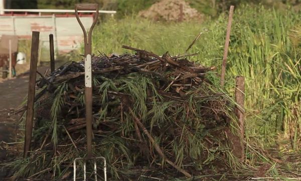 Conseils de pro pour fabriquer facilement une pile de compost