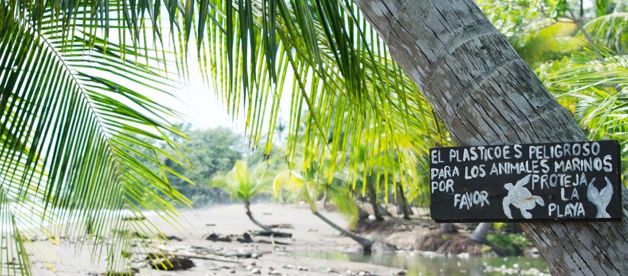 Gobelets, assiettes, couverts... Le plastique va disparaître au Costa Rica d'ici 2021 !