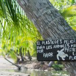 "Le plastique est dangereux pour les animaux marins, s'il vous plait, protégez la plage"