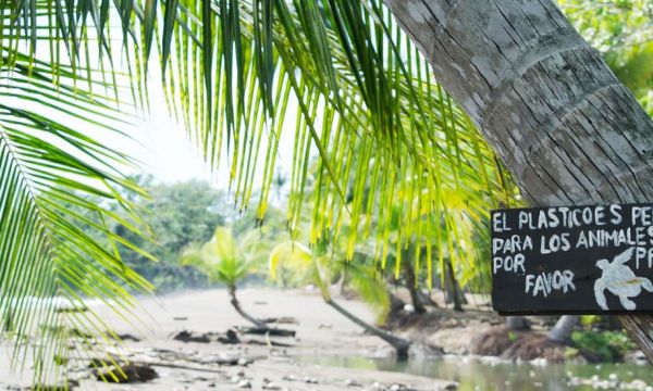 Gobelets, assiettes, couverts... Le plastique va disparaître au Costa Rica d'ici 2021 !