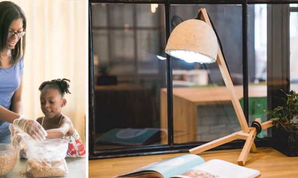 Fabriquez votre lampe... à partir de champignons !